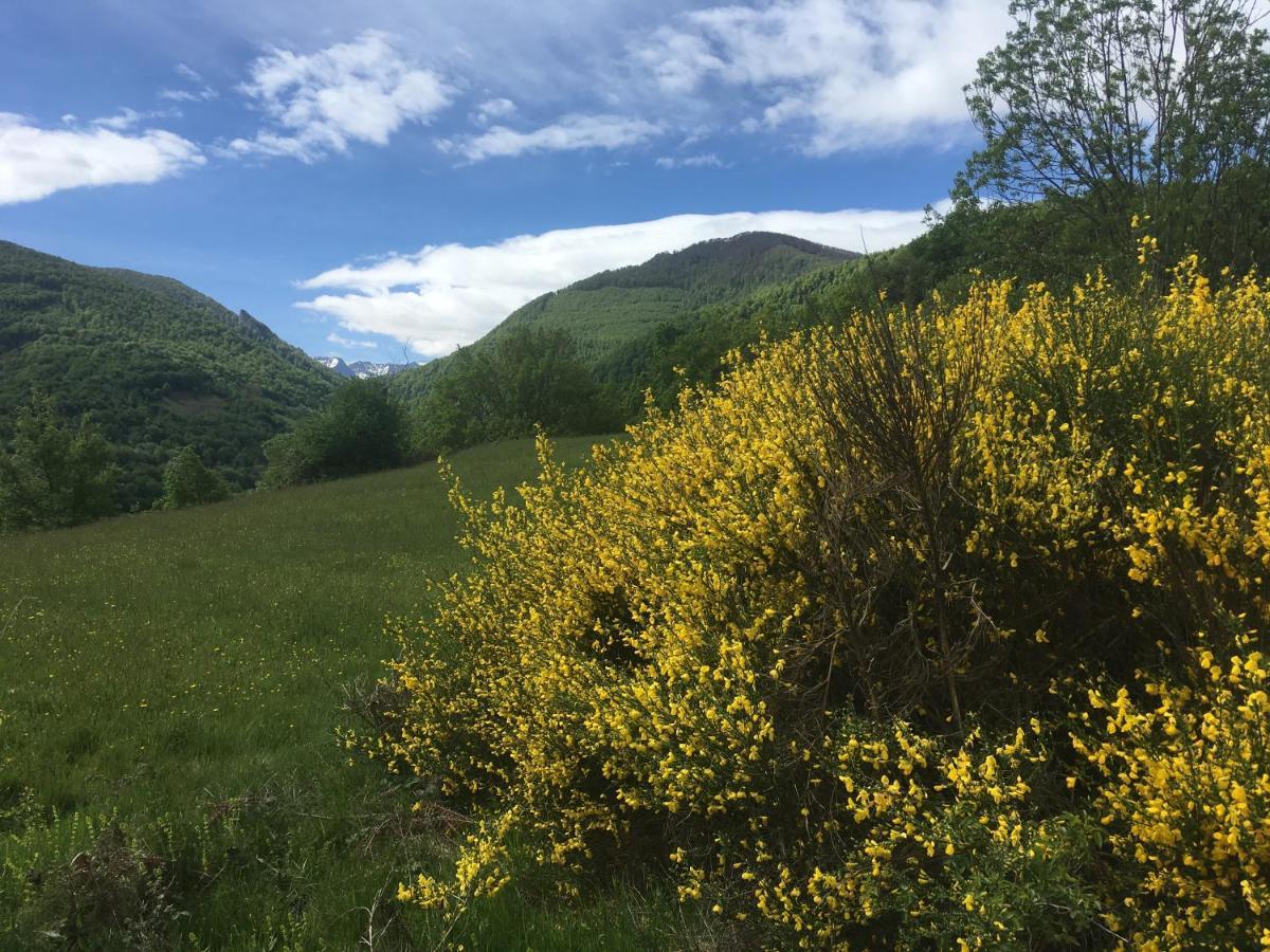 Hotel Les Songes Du Chene Augirein Zewnętrze zdjęcie
