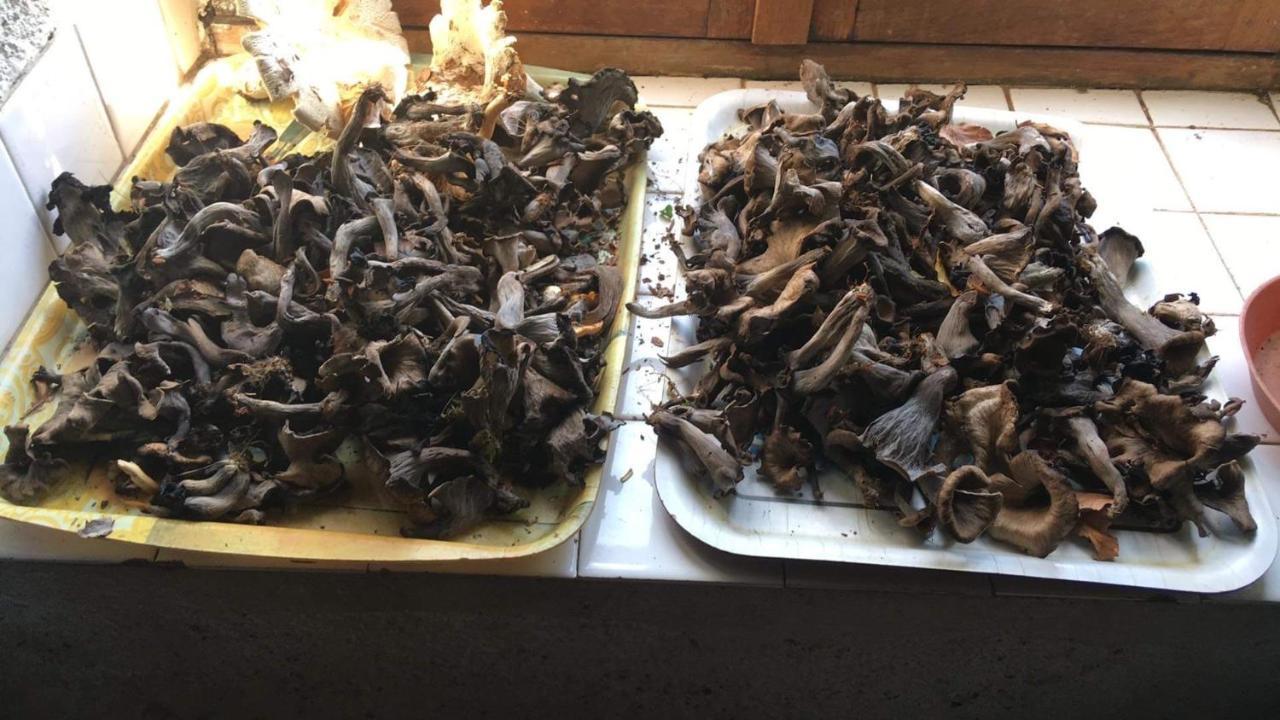 Hotel Les Songes Du Chene Augirein Zewnętrze zdjęcie